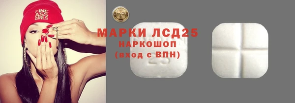 гашик Новодвинск