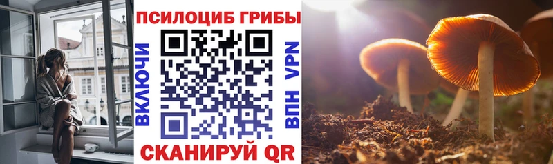 Псилоцибиновые грибы Psilocybe  OMG   Нарткала 