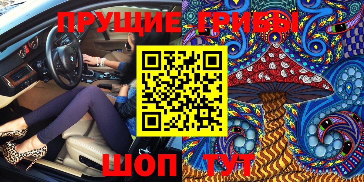 Галлюциногенные грибы Psilocybine cubensis Нарткала